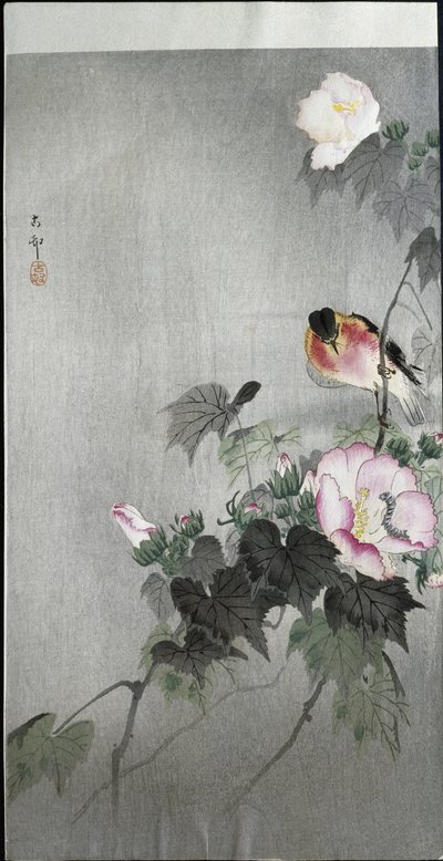 Stonechat和朵朵花，1907年 作者 Ohara Koson
